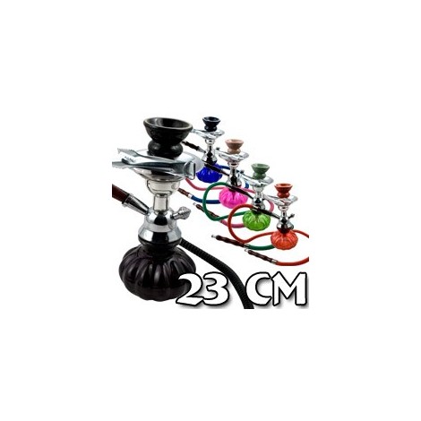Chicha 23 cm + pince