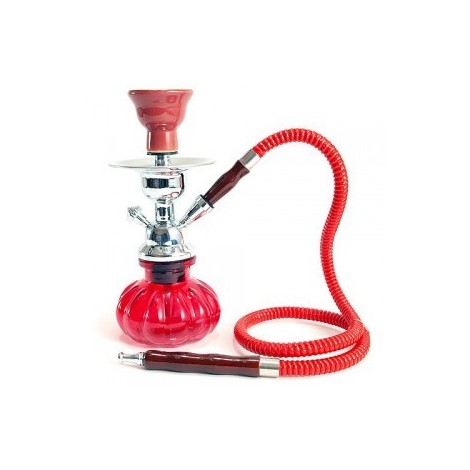 Chicha 23 cm + pince